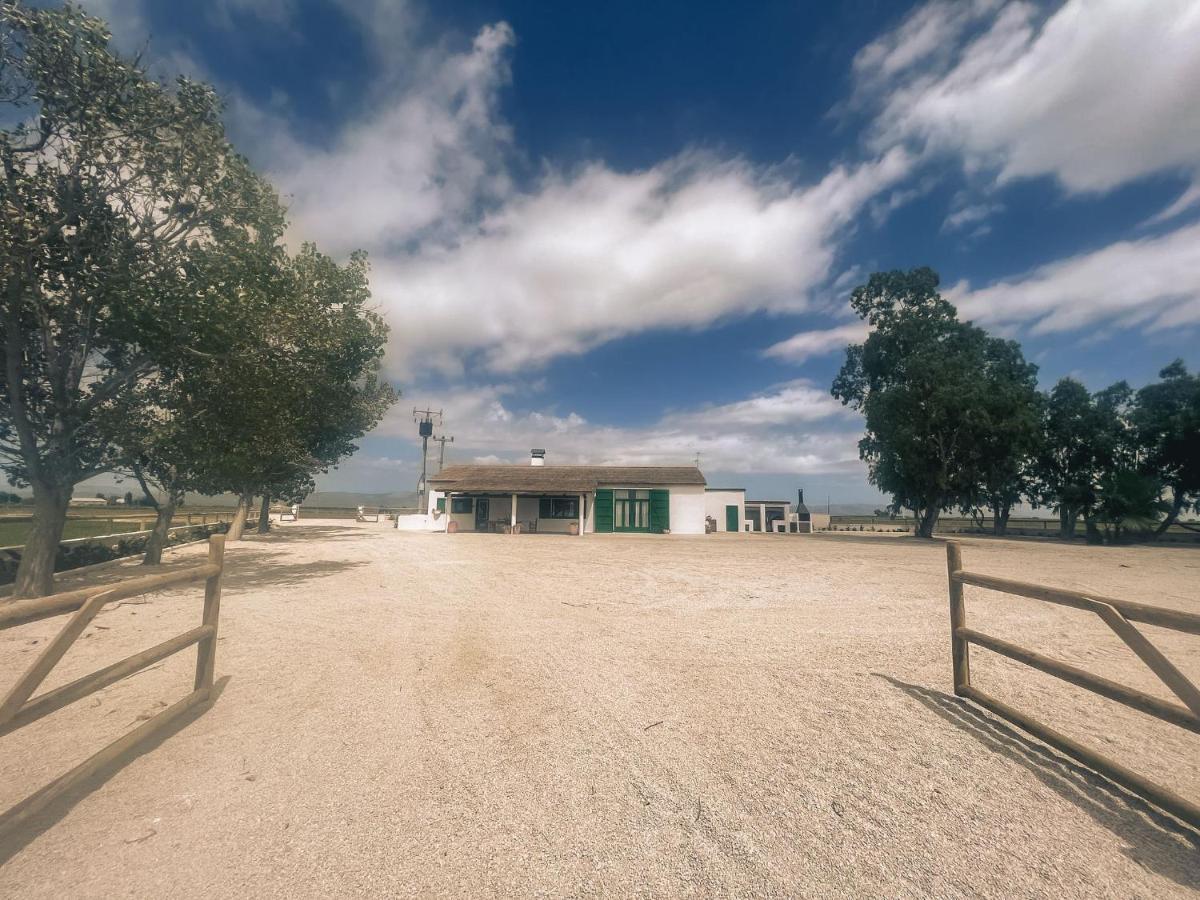 Masia Blanca Hébergement de vacances Deltebre