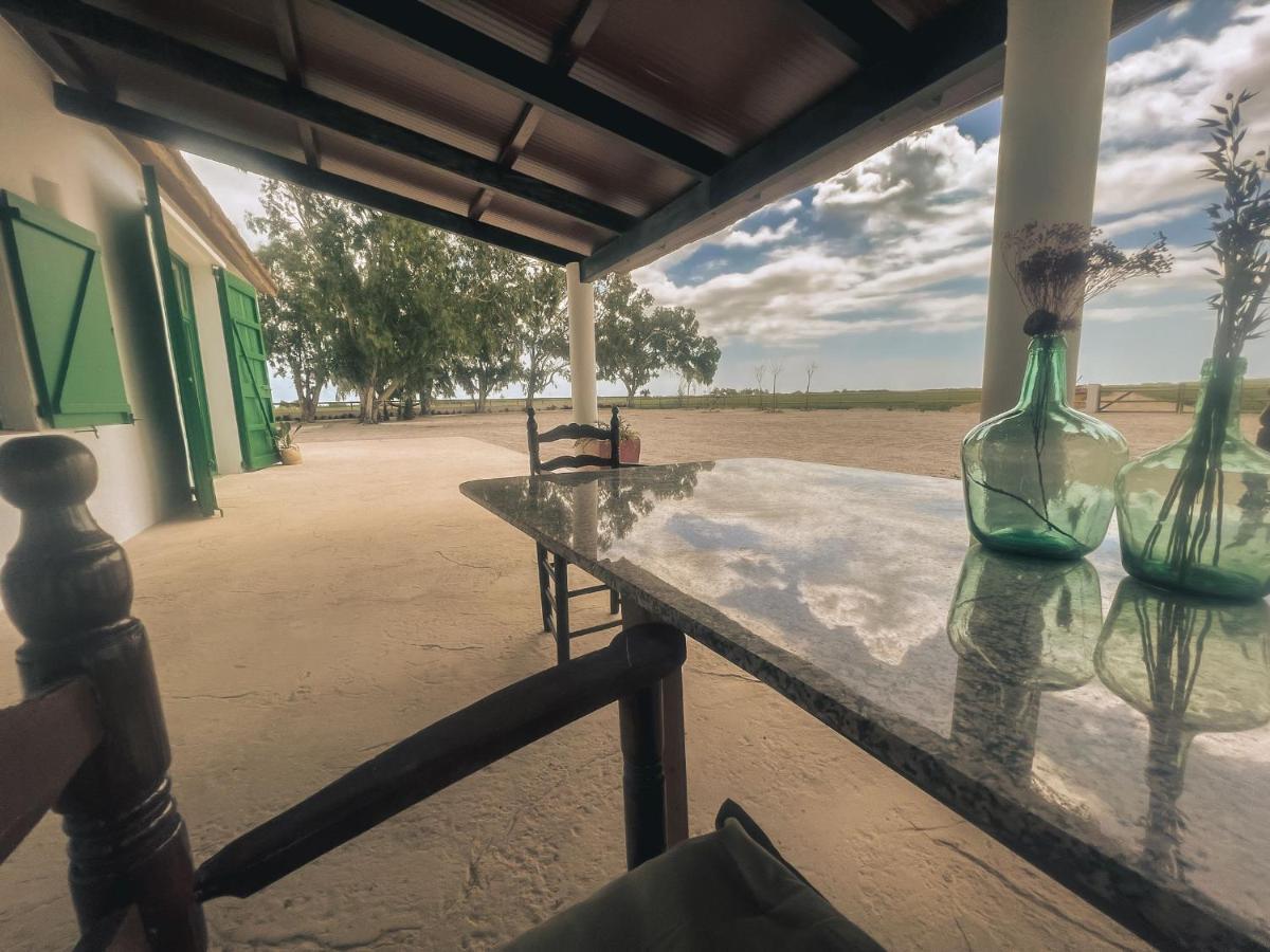 Holiday home Masia Blanca